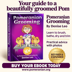 How to Groom a Pomeranian Guide ( Second Edition) eBook Instant download.