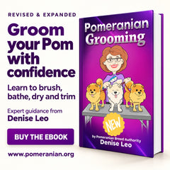 How to Groom a Pomeranian Guide ( Second Edition) eBook Instant download.