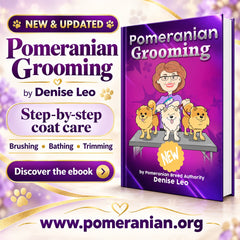 How to Groom a Pomeranian Guide ( Second Edition) eBook Instant download.