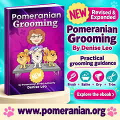 How to Groom a Pomeranian Guide ( Second Edition) eBook Instant download.