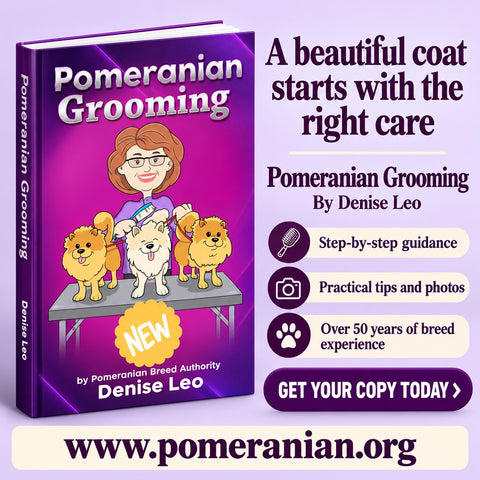 How to Groom a Pomeranian Guide ( Second Edition) eBook Instant download.